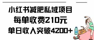 小红书减肥私域项目每单收费210元单日成交20单，最高日入4200+-KJ分享