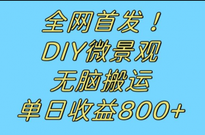 全网首发冷门赛道！DIY微景观，无脑搬运视频，日收益800+-KJ分享