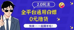 外面收费2980的全平台通用白嫖撸货项目2.0玩法【仅揭秘】-KJ分享