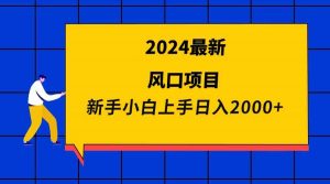 2024最新风口项目 新手小白日入2000+-KJ分享