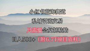 小红书短剧赛道，私域引流交易，会复制粘贴，日入500+（附6.7T短剧资源）-KJ分享