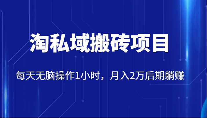 价值2980的淘私域搬砖项目，每天无脑操作1小时，月入2万后期躺赚-KJ分享
