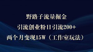 野路子流量掘金，引流创业粉日引流200+，两个月变现15W（工作室玩法））-KJ分享