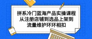 拼系冷门蓝海产品实操课程,从注册店铺到选品上架到流量维护环环相扣-KJ分享