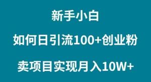 新手小白如何通过卖项目实现月入10W+-KJ分享