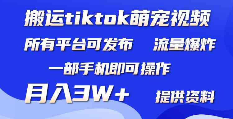 搬运Tiktok萌宠类视频，一部手机即可。所有短视频平台均可操作，月入3W+-KJ分享