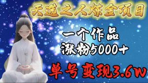天选之人炼金项目，一个作品涨粉5000+，单号变现3.6w-KJ分享