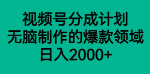 视频号分成计划，轻松无脑制作的爆款领域，日入2000+-KJ分享