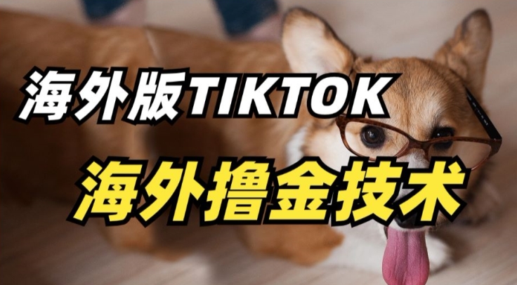 抖音海外版tiktok撸金技术，这个风口行业，赚钱真的不难-KJ分享