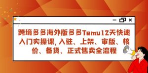 跨境多多海外版多多Temu12天快速入门实战课，从入驻 上架到正式售卖全流程-KJ分享