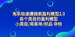 淘系极速爆搜索盈利模型2.0，各个类目的盈利模型，小类目/高客单/标品 非标-KJ分享
