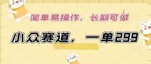 小众赛道,一单299.简单易操作,长期可做-KJ分享