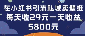 在小红书引流私域卖壁纸每张29元单日最高卖出200张(0-1搭建教程)-KJ分享