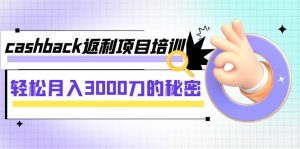 cashback返利项目培训：轻松月入3000刀的秘密（8节课）-KJ分享