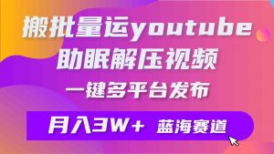 批量搬运YouTube解压助眠视频 一键多平台发布 月入2W+-KJ分享