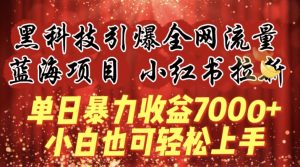 蓝海项目!黑科技引爆全网流量小红书拉新,单日暴力收益7000+,小白也能轻松上手-KJ分享