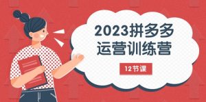 2023拼多多运营训练营：流量底层逻辑，免费+付费流量玩法（12节课）-KJ分享