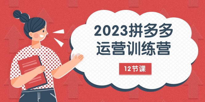 2023拼多多运营训练营:流量底层逻辑,免费+付费流量玩法(12节课)-KJ分享