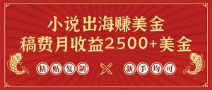 小说出海赚美金，稿费月收益2500+美金，仅需chatgpt粘贴复制，新手也能玩转-KJ分享