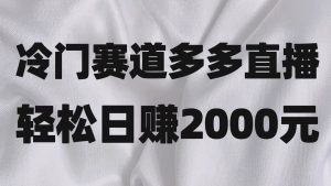 冷门赛道拼多多直播项目，简单念稿子，日收益2000＋-KJ分享