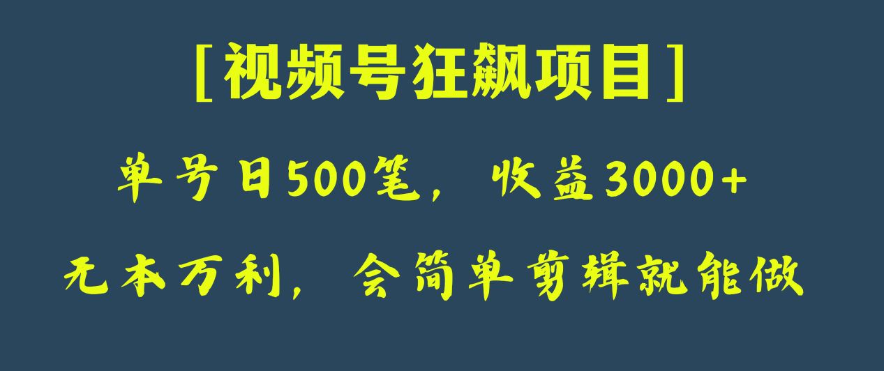 日收款500笔，纯利润3000+，视频号狂飙项目！-KJ分享