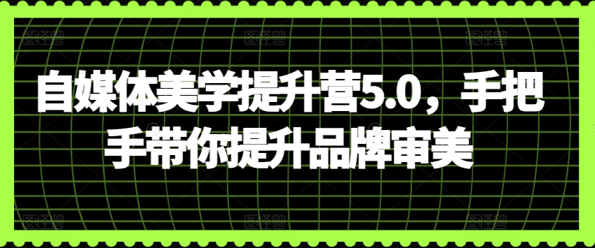 自媒体美学提升营5.0,手把手带你提升品牌审美-KJ分享