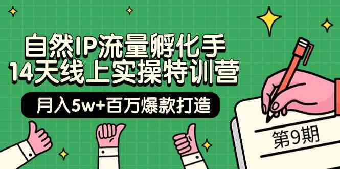 自然IP流量孵化手 14天线上实操特训营【第9期】月入5w+百万爆款打造 (74节)-KJ分享