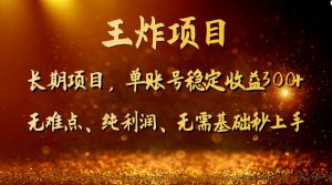 王炸项目！单账号稳定收益300+，适合长期操作的副业兼职。-KJ分享