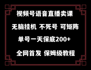 视频号纯无人挂机直播 手机就能做，保底一天200+-KJ分享