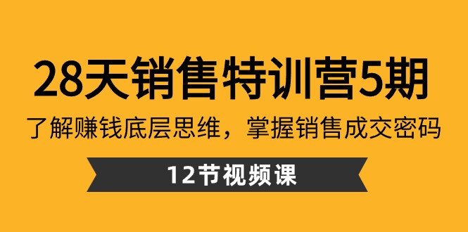 28天销售特训营5期：了解赚钱底层思维，掌握销售成交密码（12节课）-KJ分享