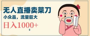 无人冷门品直播新玩法,通过卖菜刀日入1000+【揭秘】-KJ分享