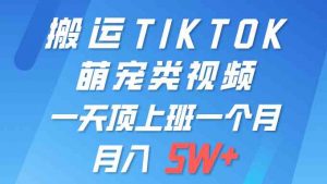 一键搬运TIKTOK萌宠类视频 一部手机即可操作 所有平台均可发布 轻松月入5W+-KJ分享