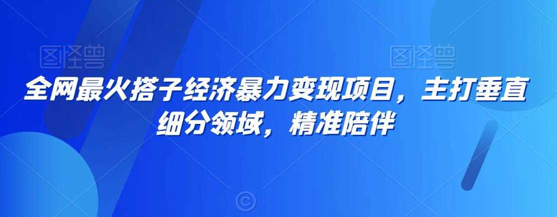 全网最火搭子经济暴力变现项目，主打垂直细分领域，精准陪伴【揭秘】-KJ分享