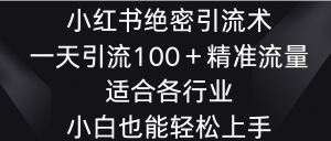 小红书绝密引流术，一天引流100＋精准流量，适合各个行业，小白也能轻松上手-KJ分享