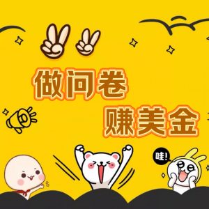 国外问卷调查小白家也可批量操作（口子查站点查渠道查）真正的长久稳定项目 日入1500+-KJ分享