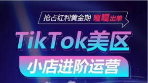 TikTok Shop美区小店进阶运营,快速掌握各流量渠道玩法,抢占红利黄金期,嘎嘎出单-KJ分享