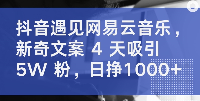 抖音遇见网易云音乐，新奇文案 4 天吸引 5W 粉，日挣1000+-KJ分享