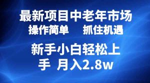 2024最新项目，中老年市场，起号简单，7条作品涨粉4000+，单月变现2.8w-KJ分享