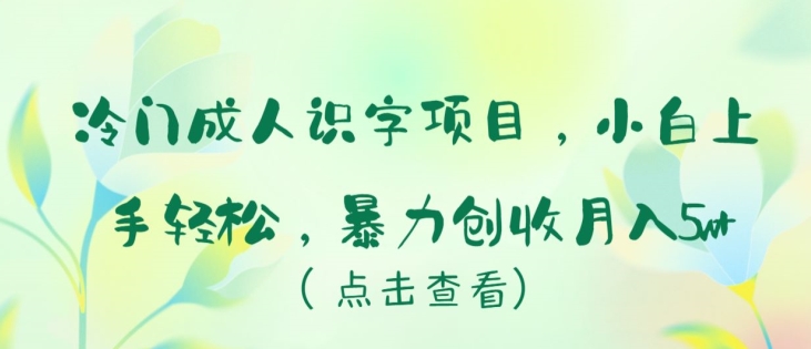 冷门成人识字项目，小白上手轻松，暴力创收月入5w+-KJ分享