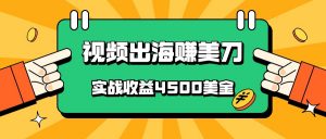 国内爆款视频出海赚美刀，实战收益4500美金，批量无脑搬运，无需经验直接上手-KJ分享