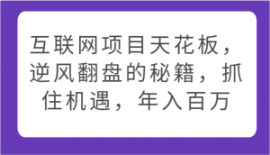 互联网项目天花板，逆风翻盘的秘籍，抓住机遇，年入百万-KJ分享