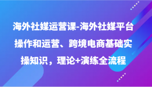 海外社媒运营课-海外社媒平台操作和运营、跨境电商基础实操知识，理论+演练全流程-KJ分享