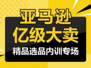亚马逊亿级大卖-精品选品内训专场，亿级卖家分享选品成功之道-KJ分享