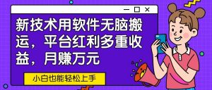 新技术用软件无脑搬运，平台红利多重收益，月赚万元，小白也能轻松上手-KJ分享