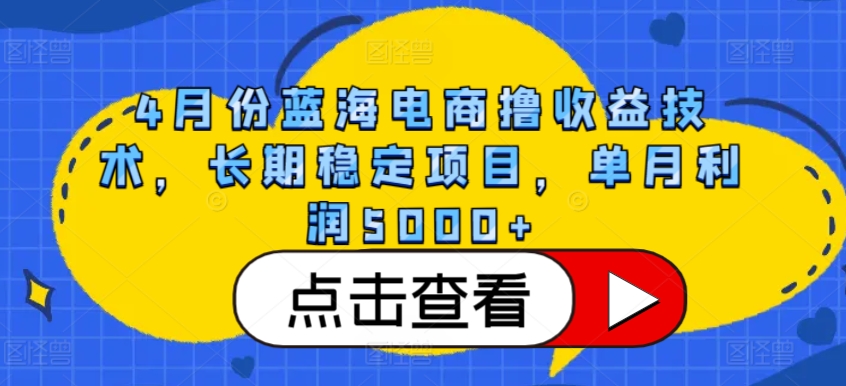4月份蓝海电商撸收益技术，长期稳定项目，单月利润5000+-KJ分享
