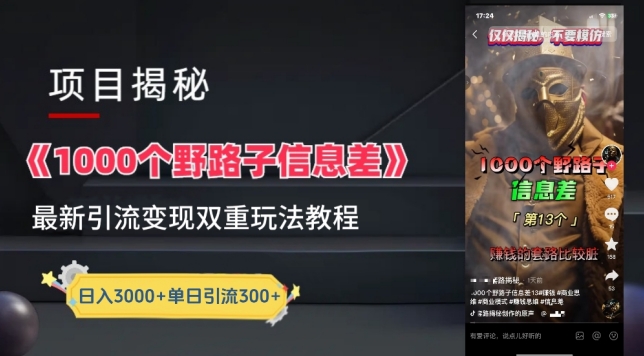 一千个野路子信息差最新玩法教程-变现+引流的玩法具体拆解-KJ分享