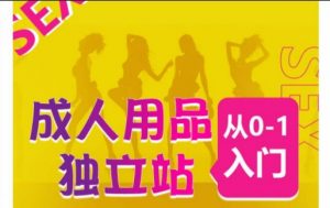成人用品独立站从0-1入门，成品独立站运营全流程教学，七大好卖成品独立站推荐-KJ分享
