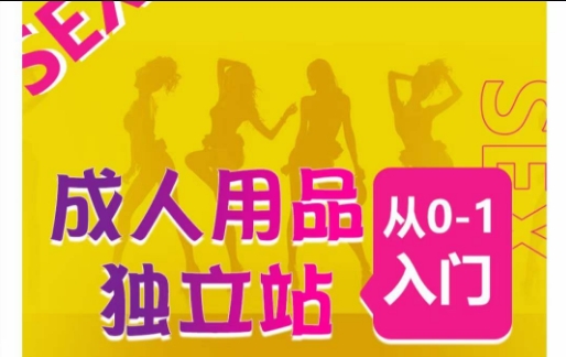 成人用品独立站从0-1入门,成品独立站运营全流程教学,七大好卖成品独立站推荐-KJ分享