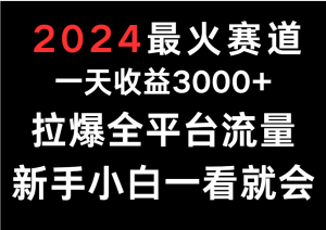 2024最火赛道，一天收一3000+.拉爆全平台流量，新手小白一看就会-KJ分享