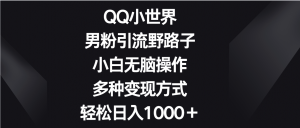 QQ小世界男粉引流野路子,小白无脑操作,多种变现方式轻松日入1000+-KJ分享